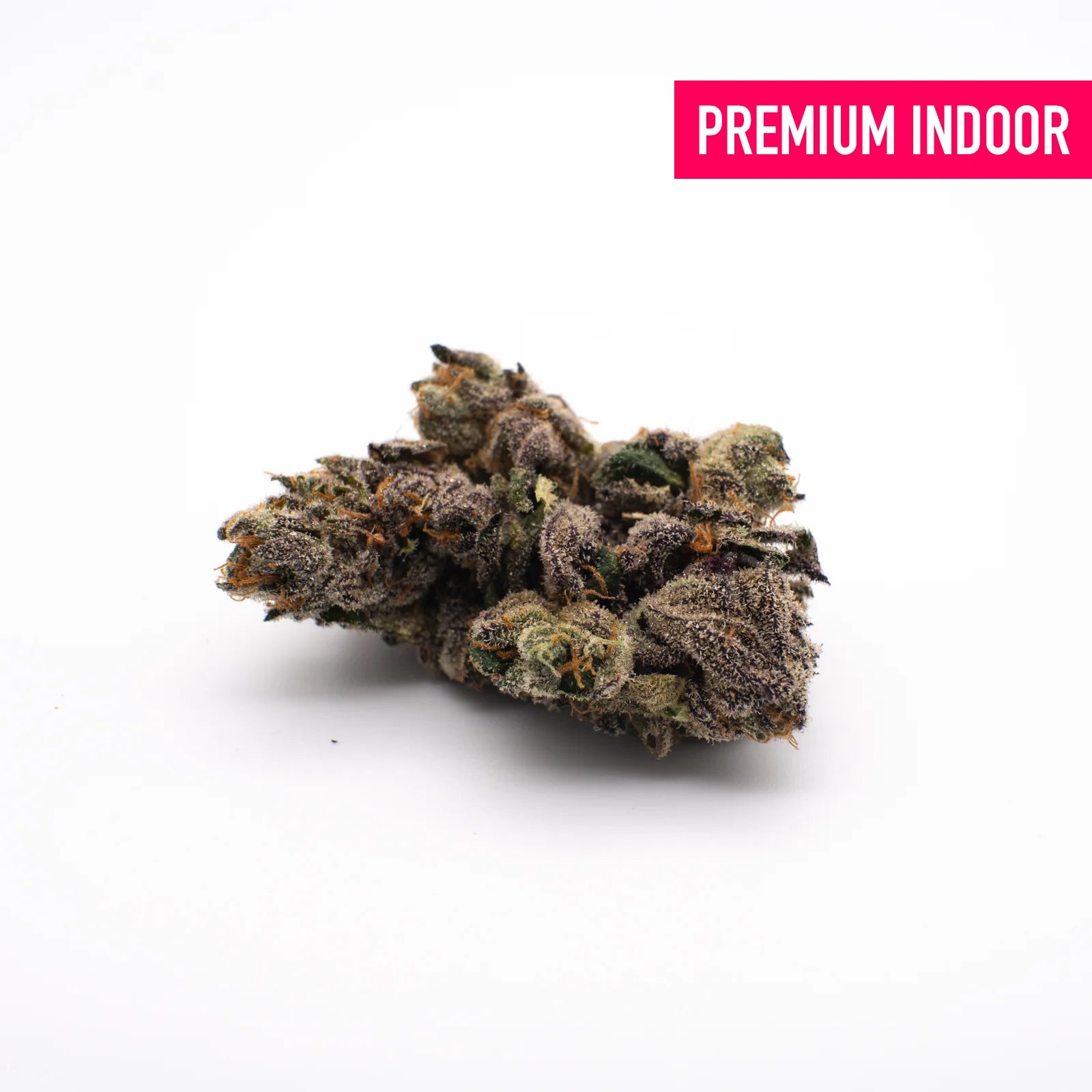 JokerZ THCa Flower Wholesale - 1/2lb - Plants