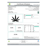 Jokerz THCa Hemp Flower - Plants