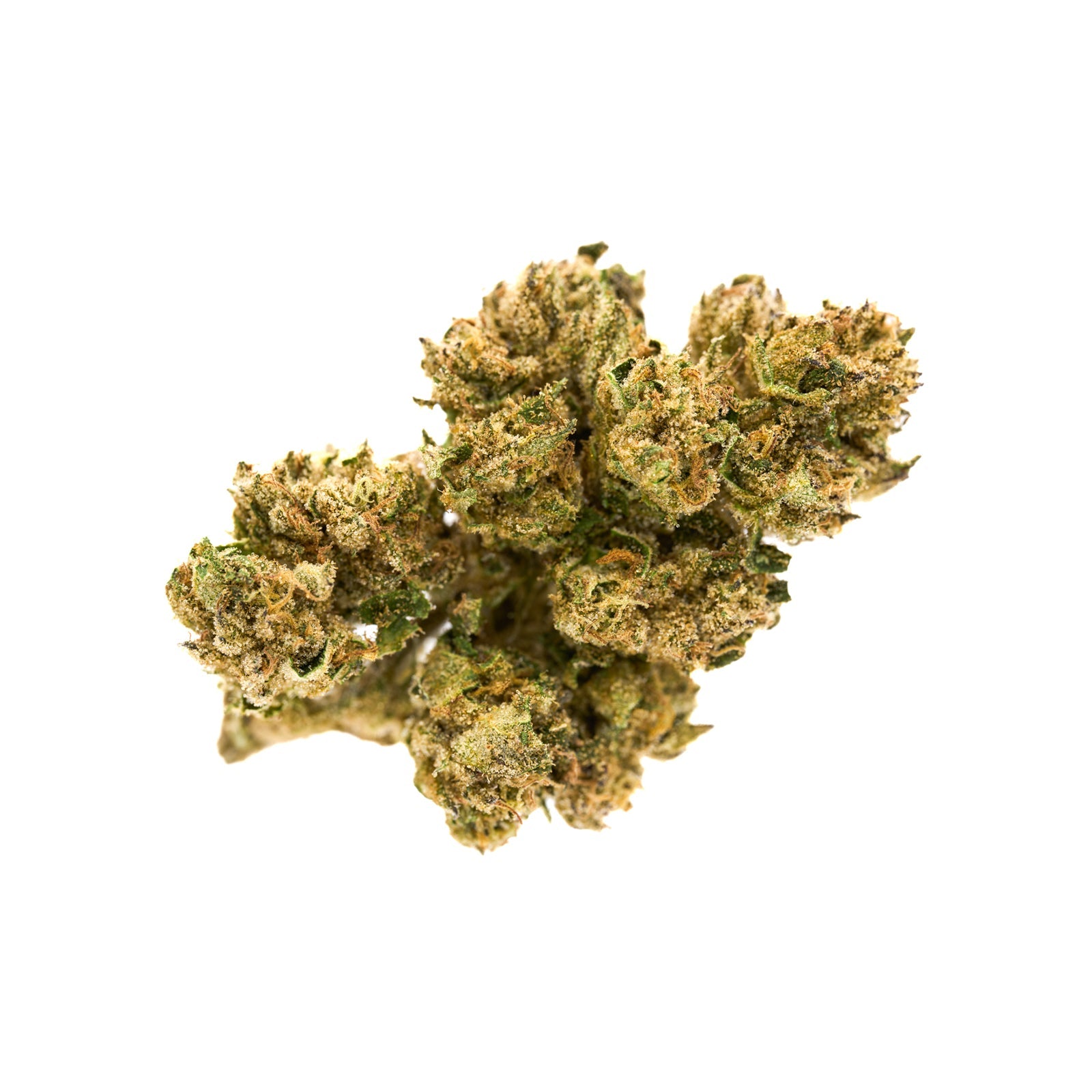 Jokerz THCa Hemp Flower - Plants