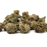 Jokerz THCA Hemp Flower Full-Term Smalls with a pile of cannabis buds for delta9-thc content