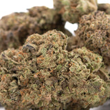 Jokerz NOS THCa Hemp Flower Greenhouse Wholesale