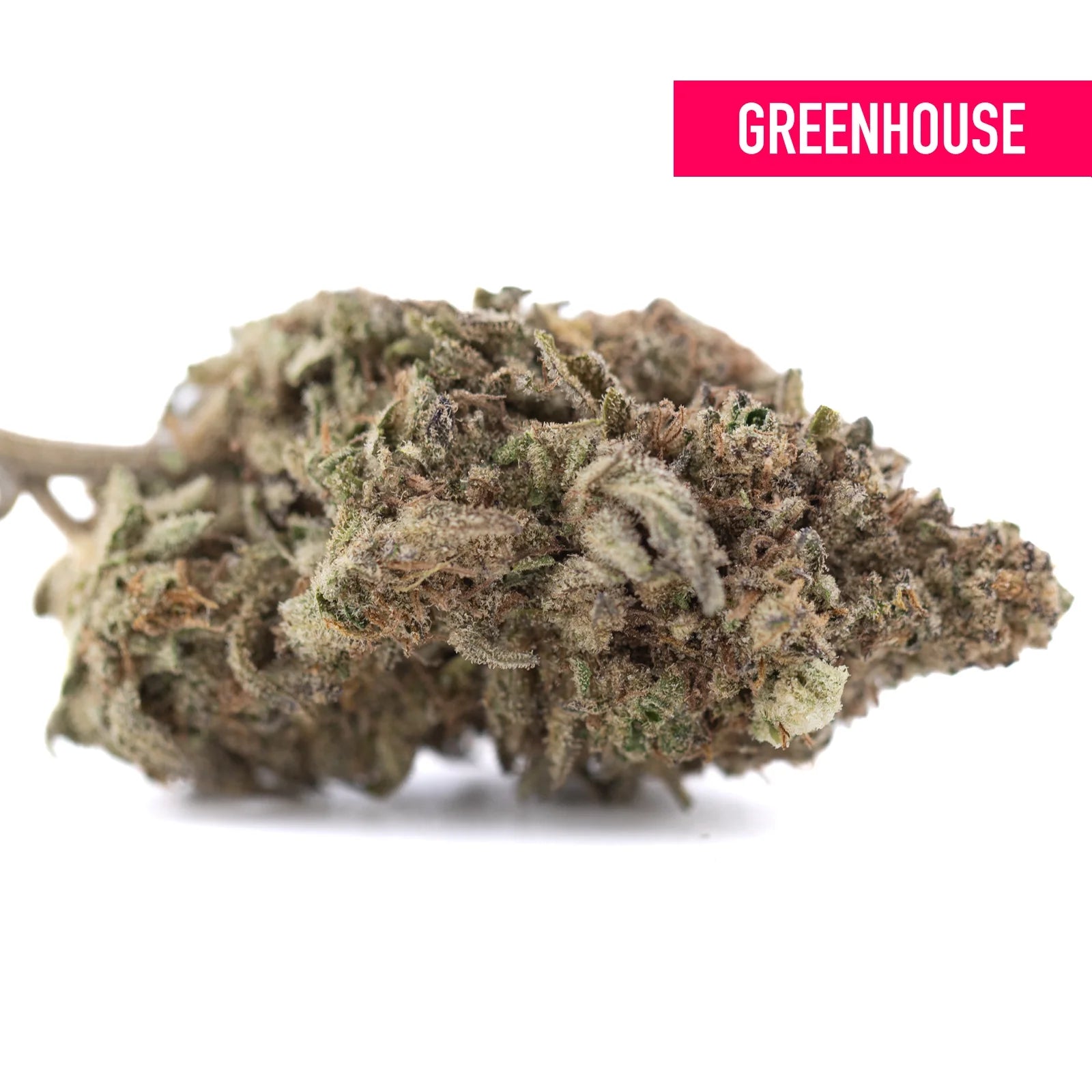 Joy thca hemp flower greenhouse dense green and brown bud covered in trichomes with lemon kush terpene profile