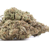 Joy thca hemp flower dense green and brown daytime functional thca flower with frosty trichomes from lemon kush family