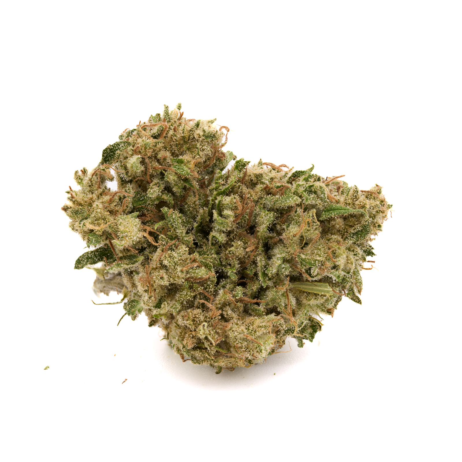 Kush Mints THCa Hemp Flower - Plants
