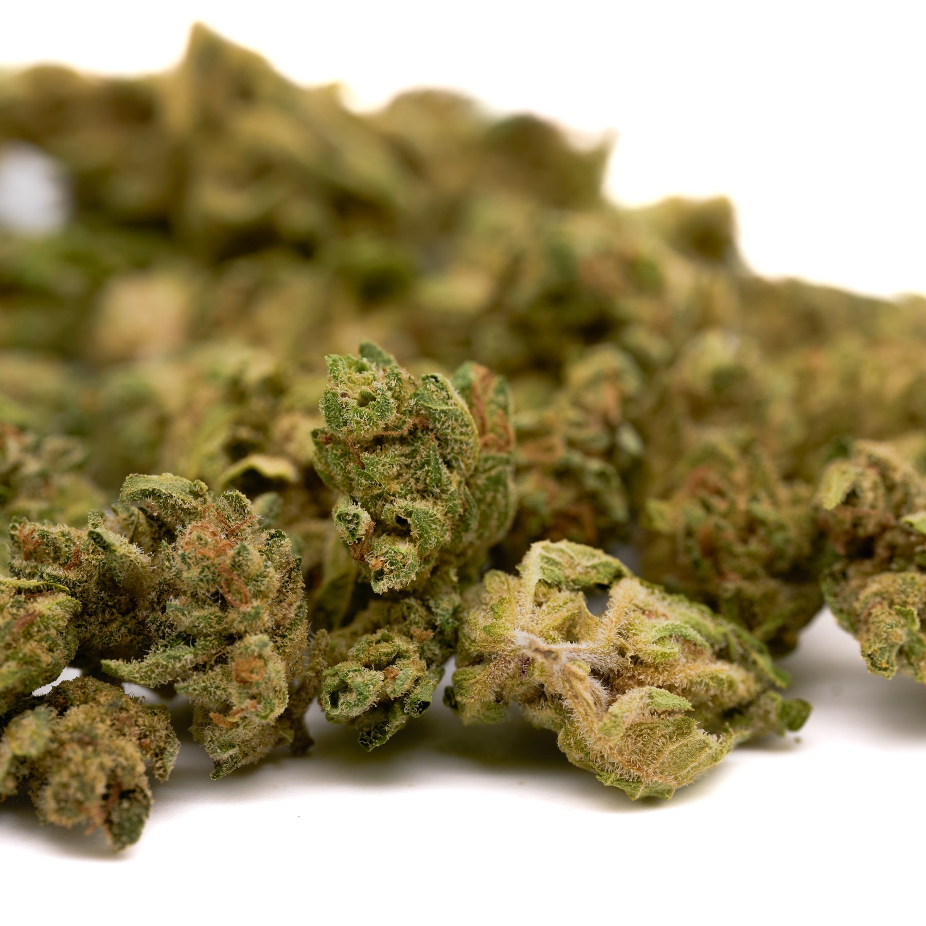 Kush Mints THCa Hemp Flower Smalls - Plants