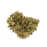 Kush Mints THCa Hemp Flower - Plants