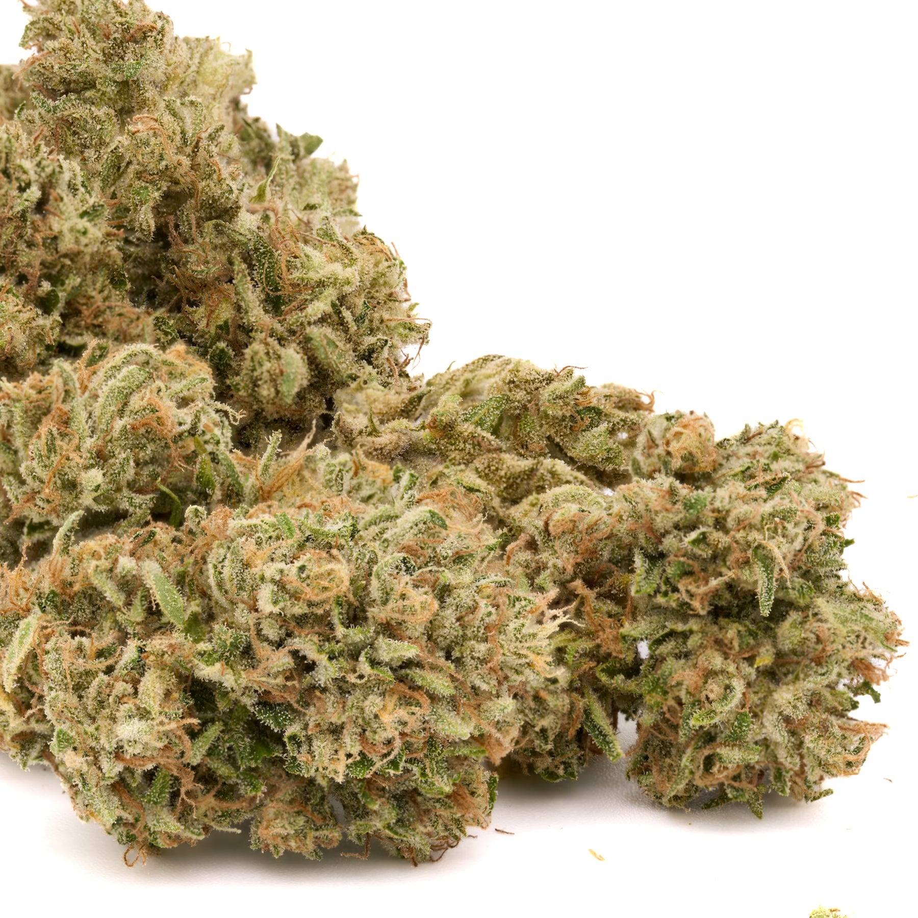 Kush Mints THCa Hemp Flower - Plants