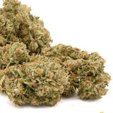 Kush Mints THCa Hemp Flower - Plants