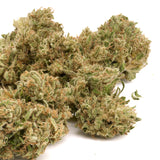 Kush Mints THCa Hemp Flower - Plants