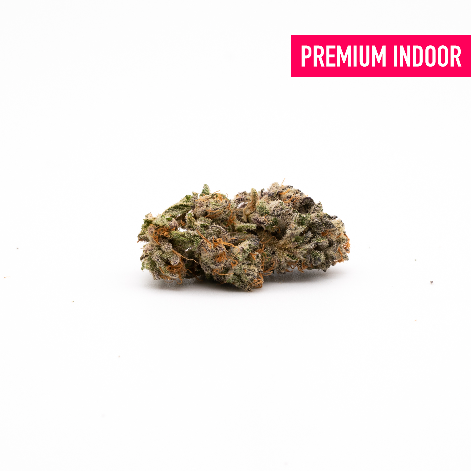 Lava Cake THCa Flower Wholesale - 1/2lb - Plants