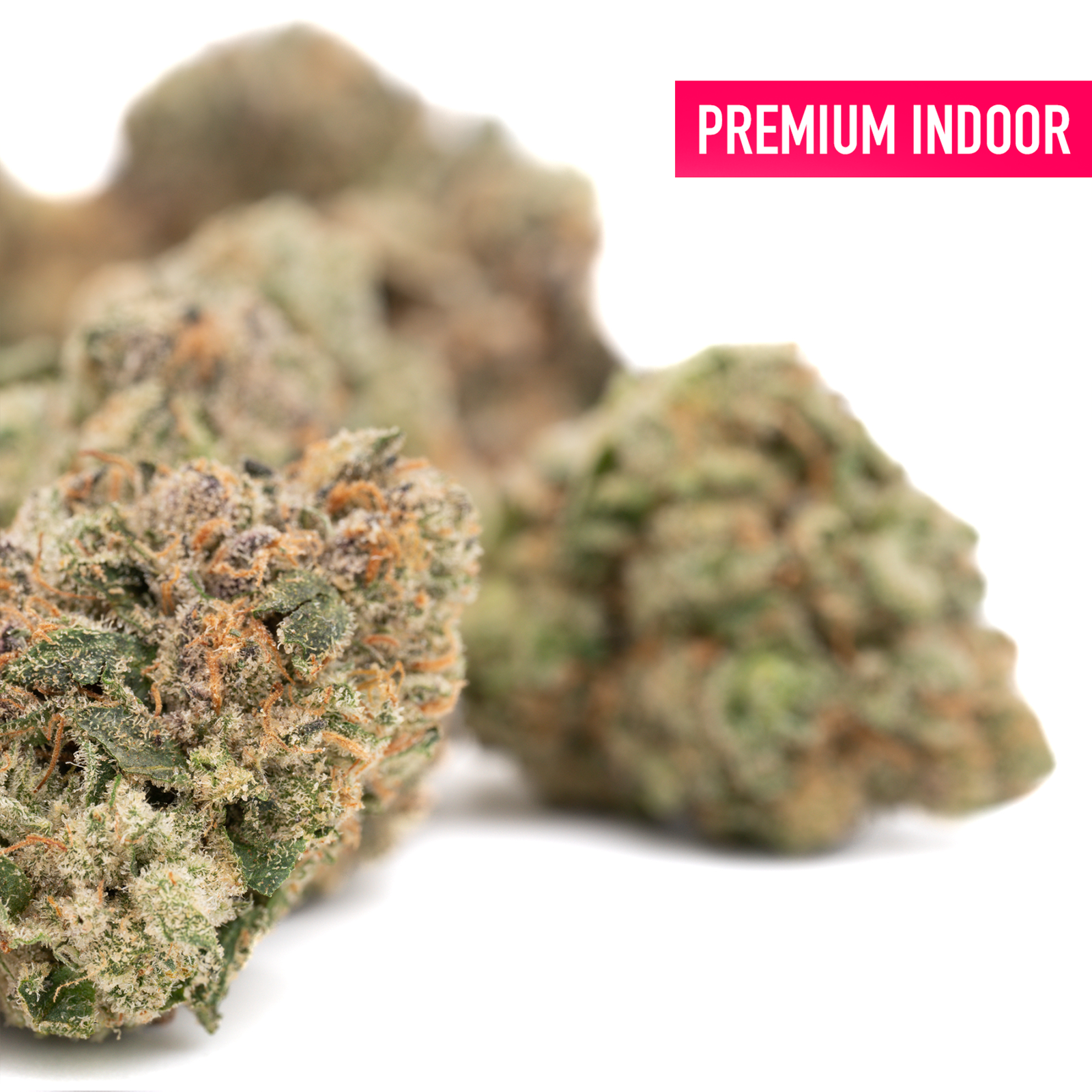 Lemon Cheesecake Indoor THCa Flower Wholesale - Plants