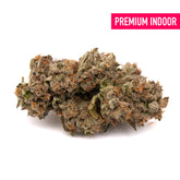 Lemon Cherry Gelato Indoor THCa Flower - Plants