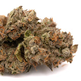 Dried Lemon Cherry Gelato THCa Flower Wholesale with orange hairs and frosty trichomes