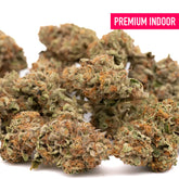 Dried Lemon Cherry Gelato THCa flower with orange hairs and frosty trichomes for wholesale