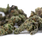 Lemon octane cbd smalls flower with green and orange-hued frosty textured smalls hemp flower buds