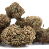 Dense green and brown lemon octane cbd hemp flower buds with trichomes textured surface resembling bubba kush