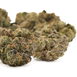 Dried cannabis buds with green purple and orange hues from Love Affair Indoor THCa Flower