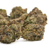 Dried Gorilla Glue indoor THCA flower buds with orange hairs and frosty trichomes