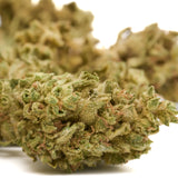 Dried cannabis flower buds of Granddaddy Purple THCA flower from Lucky Charms Wholesale