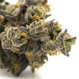 Lung Buster Indoor THCa Flower with dense trichome-covered purple and green cannabis bud