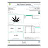 Cannabis certificate of analysis for Lung Buster Indoor THCa Flower Wholesale hemp flower