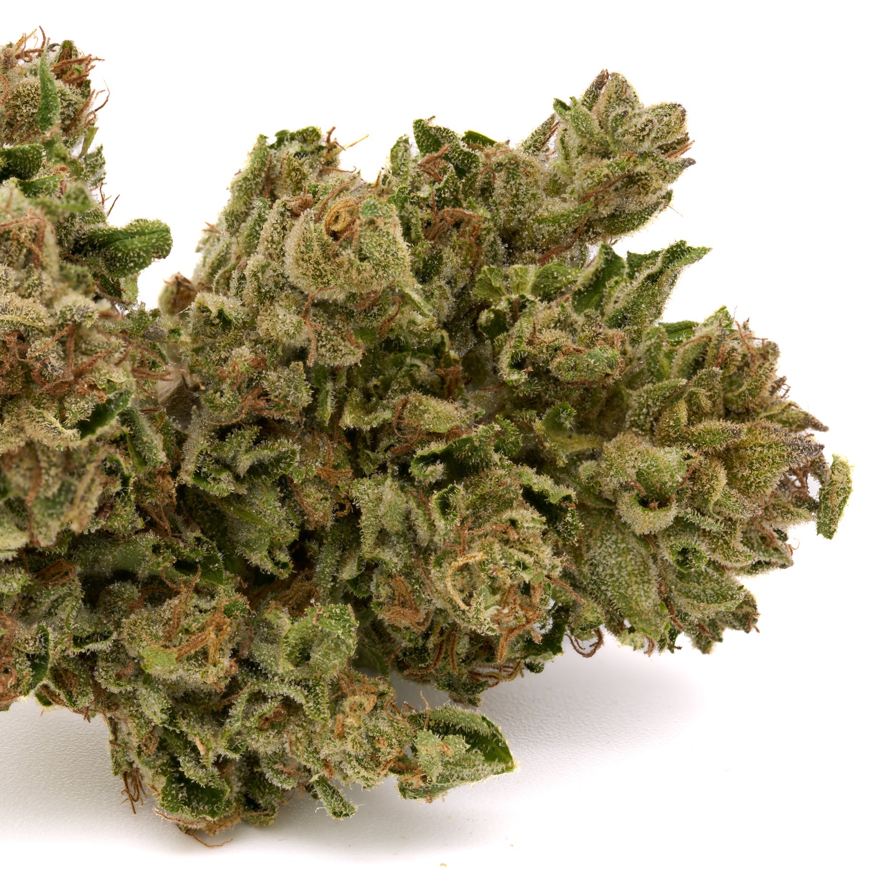 MAC #1 THCa Hemp Flower - Plants