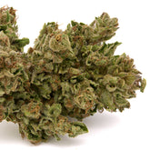 MAC #1 THCa Hemp Flower - Plants