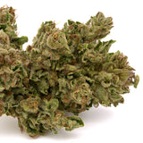 MAC #1 THCa Hemp Flower - Plants