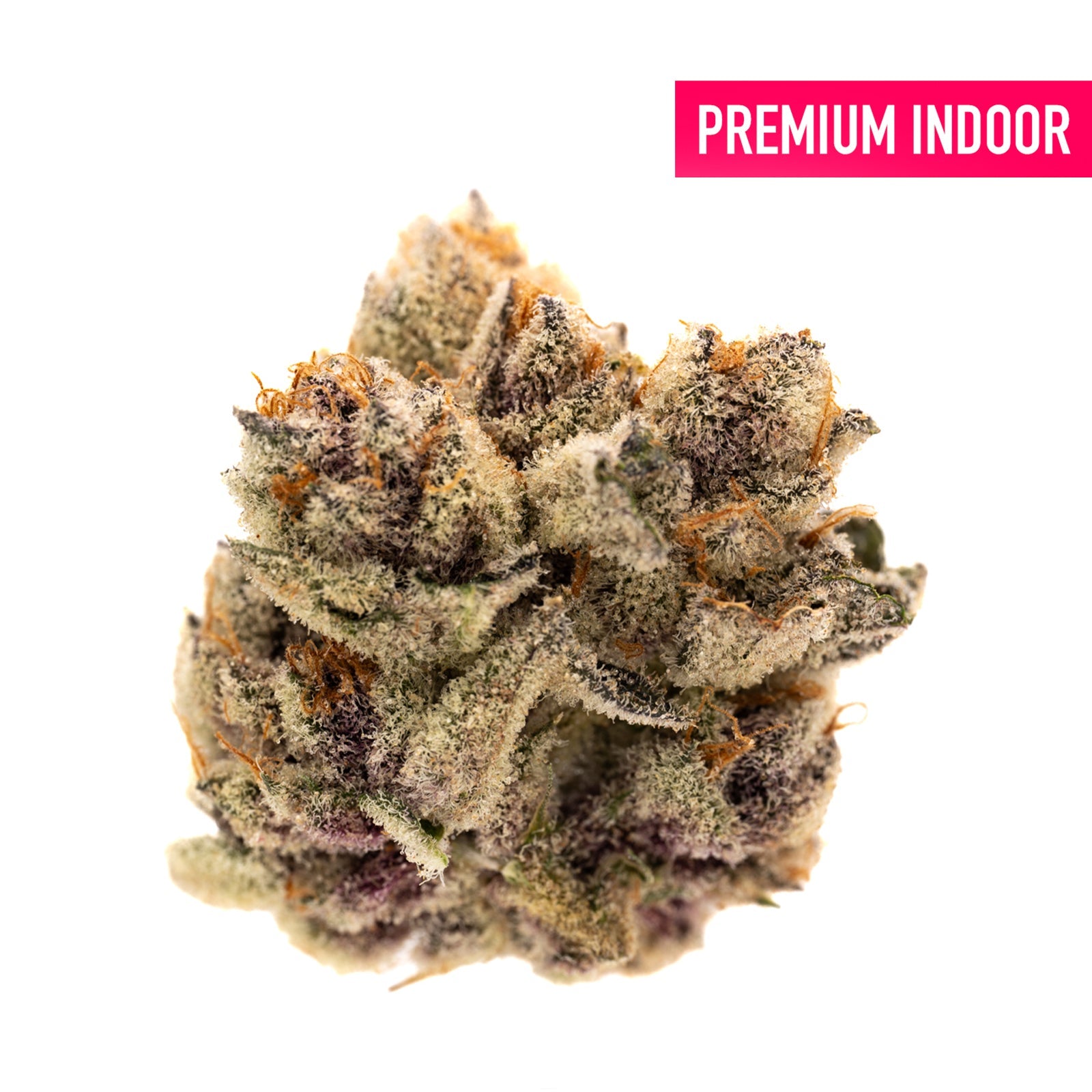 Mac And Gary Indoor THCa Flower - Plants