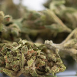 A dense green magik cbd flower smalls full-term hemp bud with fuzzy texture and subtle orange pistils