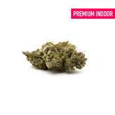 Maria’s Cookies Indoor THCa Flower - Plants