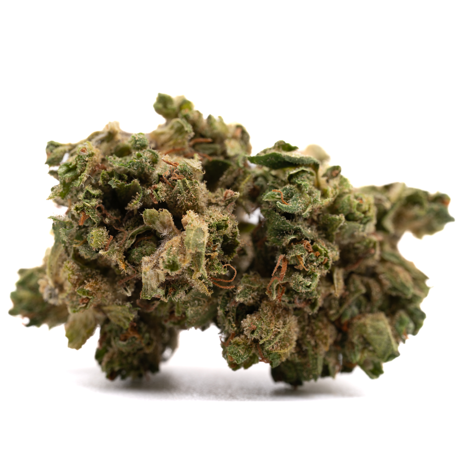 Dried cannabis bud with green and brown hues covered in trichomes, Maverick CBD Hemp Flower