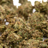 Dried cannabis buds from Maverick CBD Hemp Flower, Oregon CBD Flower, for CBD hemp use