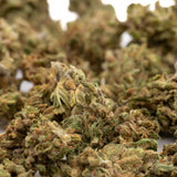 Dried cannabis buds from Maverick CBD Hemp Flower, Oregon CBD Flower, for CBD hemp use
