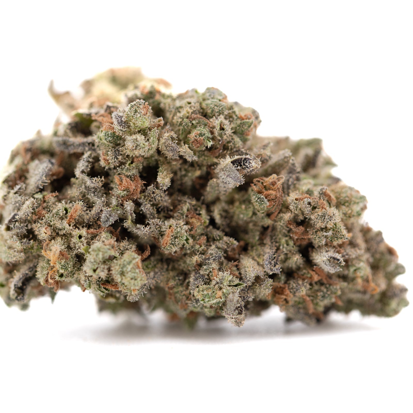 Mega Gummie Bearz THCa Flower: Dense Trichomes Vibrant Green Bud