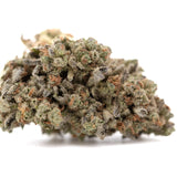 Mega Gummie Bearz THCa flower: dense trichomes, vibrant green bud