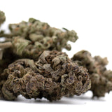 Premium Mendo Breath THCa flower bud with dense trichomes