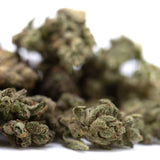 Mendo Breath THCa flower smalls: green and brown marijuana buds with dense resin glands