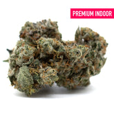 Dense trichome-covered Mint Runtz Indoor THCa Flower with orange pistils, premium THC flower