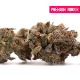 Close-up of Money Ball Indoor THCa Flower showing dense green purple buds with orange pistils