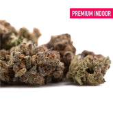 Premium indoor money ball thca flower wholesale with dense frosty buds orange pistils offering dual-phase effects