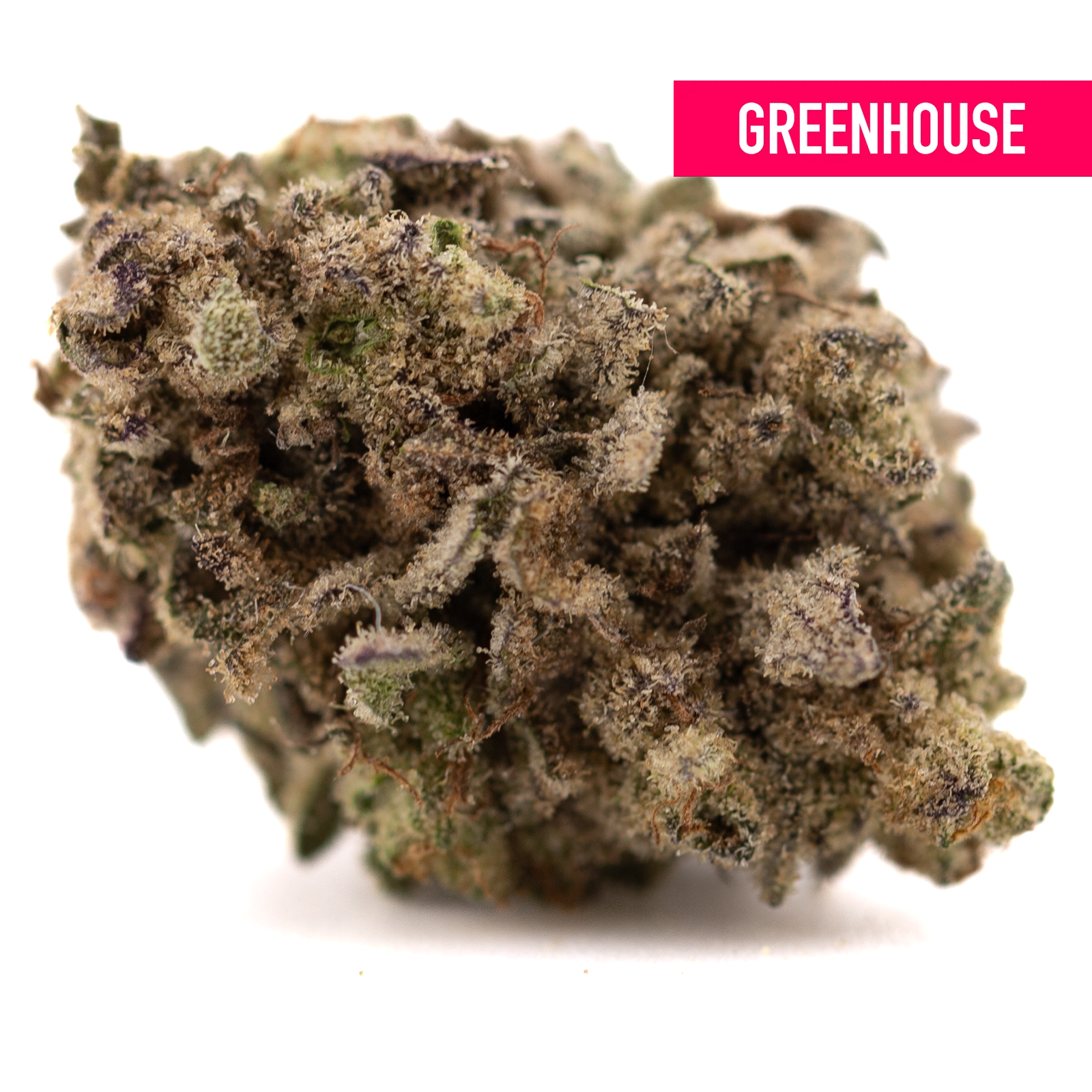 Green Money Ball THCa hemp flower bud with white trichomes and purple hues