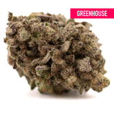 Green Money Ball THCa hemp flower bud with white trichomes and purple hues