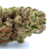 A dense green moroccan peach hemp flower bud with white trichomes and orange pistils for lemon tree skorange use