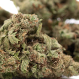 Dense green moroccan peach thca hemp flower with frosty white trichomes and brown pistils for greenhouse wholesale