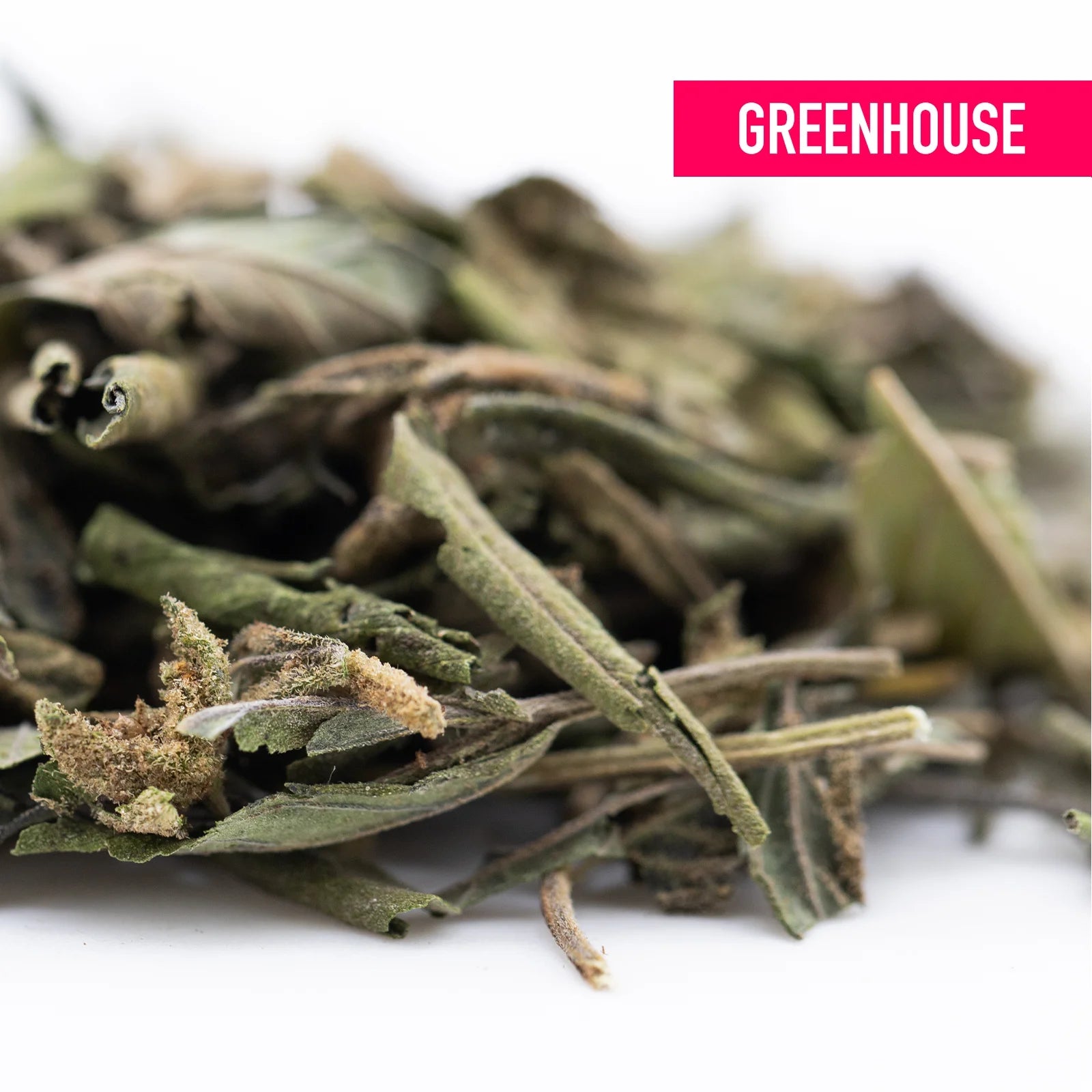 Dried green and brown nascar greenhouse hemp flower leaves with stems and flower buds showcasing terpene profile trim