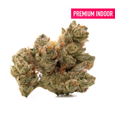 Nascar Indoor THCa Flower - Plants