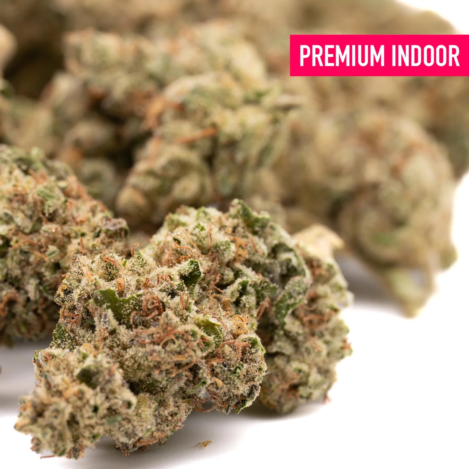 Premium indoor thca flower nascar indoor strawnana x papaya buds with dense green brown hues and maximum potency trichomes