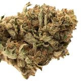 Nascar THCa Hemp Flower Greenhouse - Plants