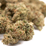 Greenhouse THCA hemp flower buds with orange hairs and white trichomes for Nascar THCA Hemp